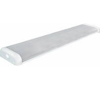 Светильник TDM ELECTRIC СПО 120x2 под LED лампу T8 SQ0327-0704