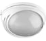 Светильник TDM ELECTRIC НПБ1107 белый, круг, ресничка, 100 Вт IP54 SQ0303-0055 1