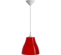 Светильник TDM ELECTRIC НСБ 21-60-142 УХЛ4 Melodi mini красный, шнур белый SQ0313-0025