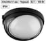 Светильник TDM ELECTRIC НПБ1107 черный, круг, ресничка, 100 Вт IP54 SQ0303-0056 2