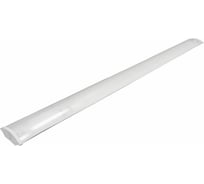 Светильник TDM ELECTRIC СПО 150x2 под LED лампу T8, рассеиватель поликарбонат SQ0327-0709