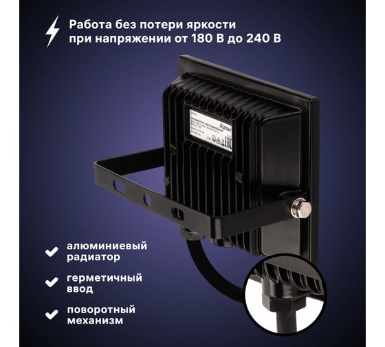 Светодиодный прожектор RITTER серия PROFI 230В 30 Вт 4000К 3000Лм IP65 черный 53416 1