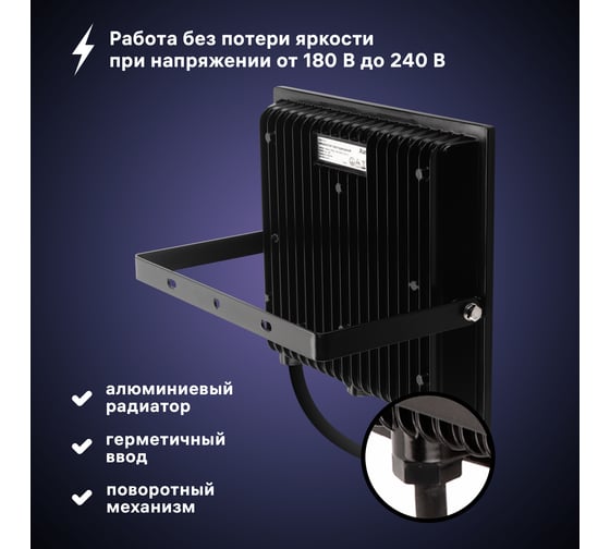 Светодиодный прожектор RITTER серия PROFI 230В 100 Вт 4000К 10000Лм IP65 черный 53419 2
