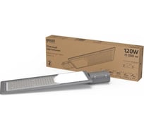 Уличный консольный светодиодный светильник Gauss IP65 120W 11000lm 4000K КСС "Ш" 629534220