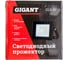 Светодиодный прожектор Gigant 10W 6400К 220V GLS-10 9