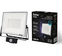 Светодиодный прожектор RITTER серия PROFI 230В 100 Вт 6500К 10000Лм IP65 черный с датчиком движения 53424 6 23834001