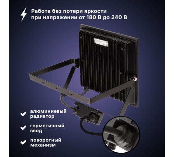 Светодиодный прожектор RITTER серия PROFI 230В 100 Вт 6500К 10000Лм IP65 черный с датчиком движения 53424 6