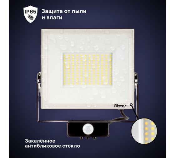 Светодиодный прожектор RITTER серия PROFI 230В 100 Вт 6500К 10000Лм IP65 черный с датчиком движения 53424 6