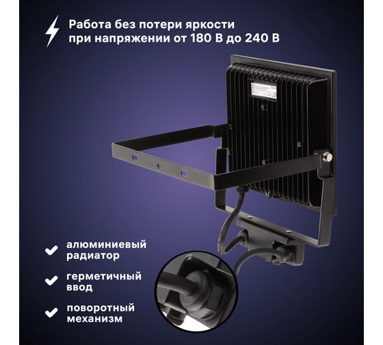 Светодиодный прожектор RITTER серия PROFI 230В 70 Вт 6500К 7000Лм IP65 черный с датчиком движения 53423 9