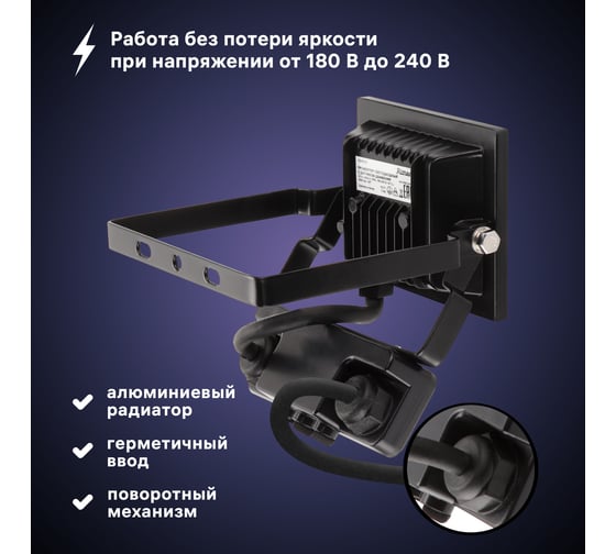 Светодиодный прожектор RITTER серия PROFI 230В 20 Вт 6500К 2000Лм IP65 с датчиком движения черный 53420 8