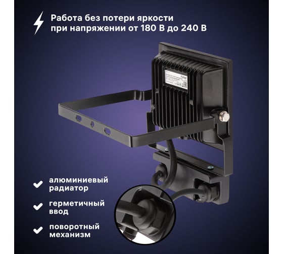 Светодиодный прожектор RITTER серия PROFI 230В 30 Вт 6500К 3000Лм IP65 черный с датчиком движения 53421 5