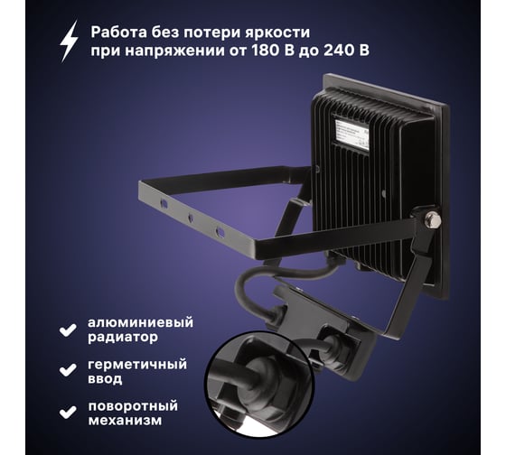 Светодиодный прожектор RITTER серия PROFI 230В 50 Вт 6500К 5000Лм IP65 черный с датчиком движения 53422 2