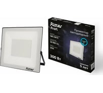 Светодиодный прожектор RITTER серия PROFI 230В 300 Вт 6500К 30000Лм IP65 черный 53413 0 23833971