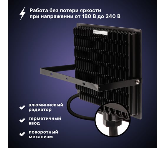 Светодиодный прожектор RITTER серия PROFI 230В 300 Вт 6500К 30000Лм IP65 черный 53413 0