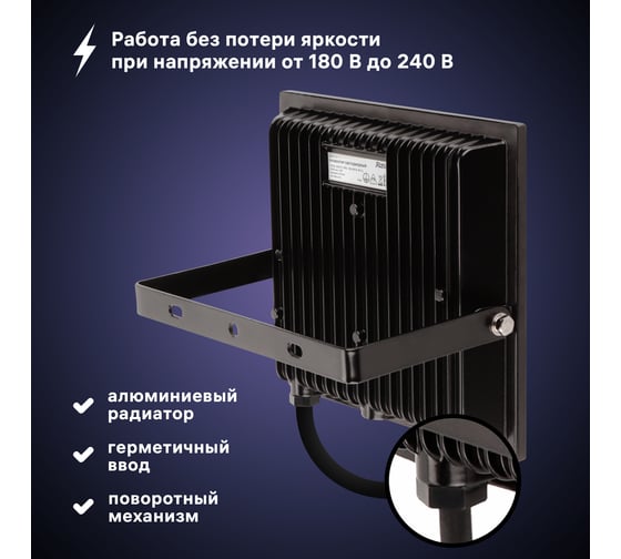 Светодиодный прожектор RITTER серия PROFI 230В 100 Вт 6500К 10000Лм IP65 черный 53410 9
