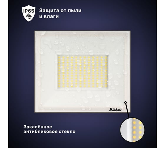 Светодиодный прожектор RITTER серия PROFI 230В 100 Вт 6500К 10000Лм IP65 черный 53410 9