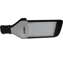 Уличный светодиодный фонарь HOROZ ELECTRIC 074-005-0100 100W черный 6400K 85-265V ORLANDO-100 HRZ00002743