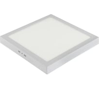 Светодиодный светильник направленного света HOROZ ELECTRIC 016-026-0028 28W, белый, 6400K, 100-265V, ARINA-28 HRZ33003018