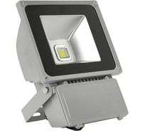 Светодиодный прожектор X-flash XF-FL-80W-4K 43347