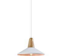 Подвесной светильник Moderli Luce V1570-1P