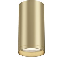 Потолочный светильник MAYTONI FOCUS S 1xGU10x10W C052CL-01MG