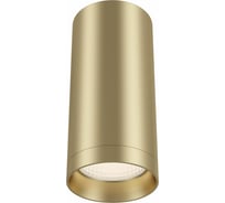 Потолочный светильник MAYTONI Focus 1xGU10x50W C010CL-01MG