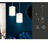 Подвесной светильник Ambrella Light Traditional TR3680 2