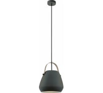 Подвесной светильник EGLO ПРОМО Bednall 98349