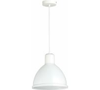 Подвесной светильник Evoluce Bacchi SLE114703-01