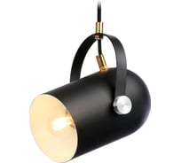 Подвесной светильник Ambrella Light Traditional TR8206