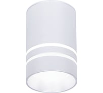 Накладной светильник Ambrella Light Techno TN236