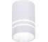 Накладной светильник Ambrella Light Techno TN236 1