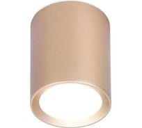 Накладной светильник Ambrella Light Techno TN216