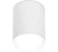 Накладной светильник Ambrella Light Techno TN215