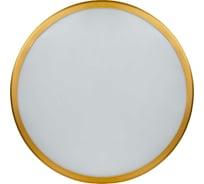 Настенно-потолочный светильник Navigator 80 500 nlf-c-014-02 80500