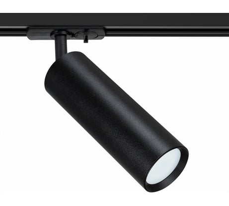 Потолочный светильник ARTE LAMP A1515PL-1BK