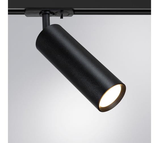 Потолочный светильник ARTE LAMP A1515PL-1BK