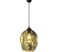 Декоративный патрон на подвесе HOROZ ELECTRIC METEOR Хром, E27, стекло 021-014-0001 HRZ00002771