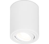 Спот Ambrella Light Techno TN225