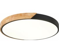 Накладной светильник Evoluce Festa SLE200942-01