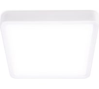 Накладной светильник Ambrella Light Downlight DLR370