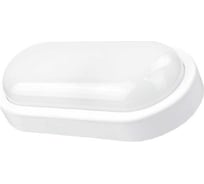 Герметичный светильник Akfa Lighting white 15w 4000k oval HLPN000087