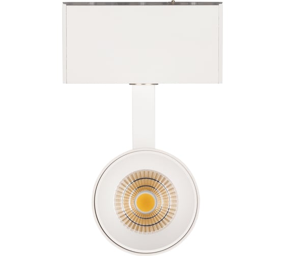 Светильник Arlight MAG-SPOT-45-R85-12W Warm3000 033426
