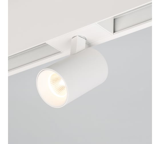 Светильник Arlight MAG-SPOT-45-R85-12W Warm3000 033426