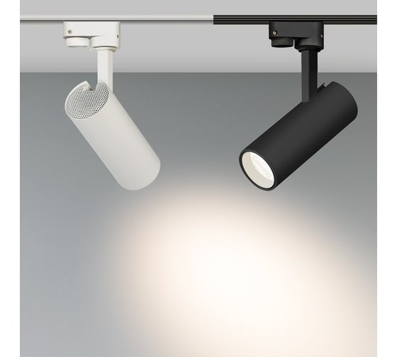 Светильник Arlight LGD-GERA-2TR-R55-10W Warm3000 0259041