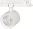 Светильник Arlight LGD-NIKA-4TR-R100-20W Day4000 031164 2