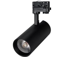 Светильник Arlight LGD-GERA-TRUECOLOR-4TR-R90-30W Warm3000 CRI98 IP20 Металл, 5 031417