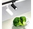 Светильник Arlight LGD-GERA-4TR-R90-30W Day SP5000-Veg 032479 2