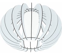Накладной светильник EGLO ПРОМО Stellato 2 95605