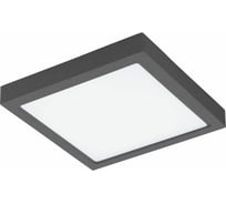 Накладной светильник EGLO ПРОМО Argolis 98174